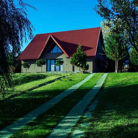 Guesthouse Vila Melisa Răsvadu de Sus Екстериор снимка