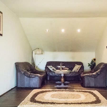 Guesthouse Vila Melisa Răsvadu de Sus Екстериор снимка