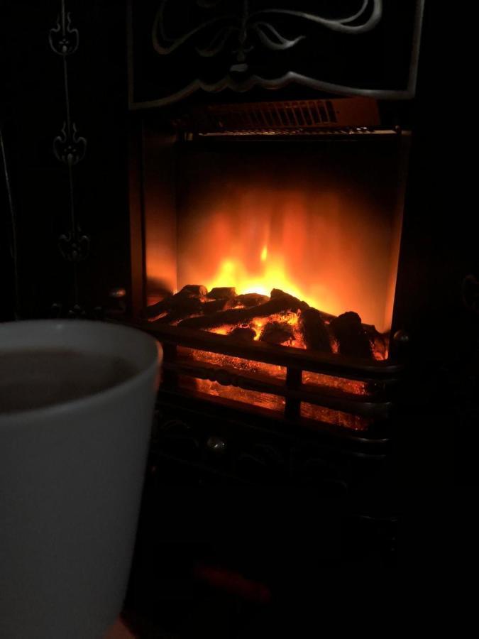 Guesthouse Vila Melisa Răsvadu de Sus Екстериор снимка