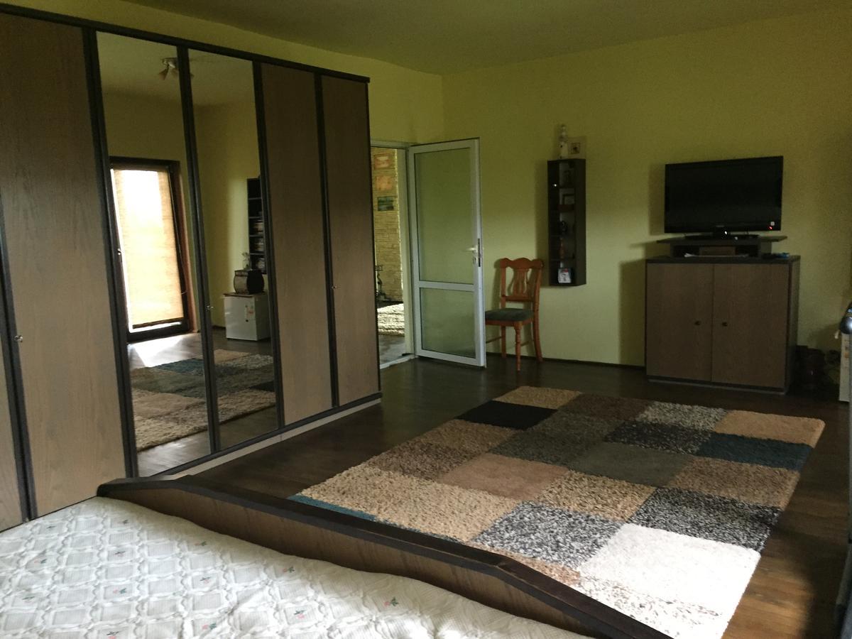 Guesthouse Vila Melisa Răsvadu de Sus Екстериор снимка