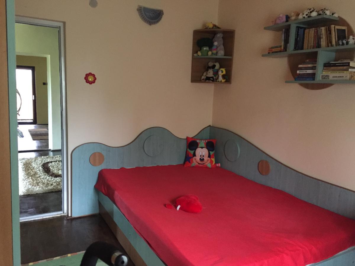 Guesthouse Vila Melisa Răsvadu de Sus Екстериор снимка