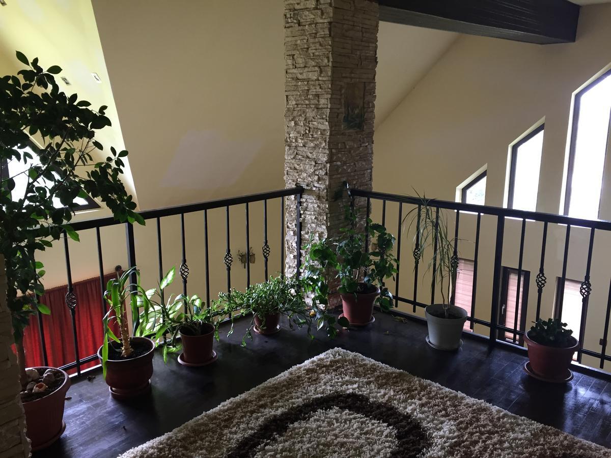 Guesthouse Vila Melisa Răsvadu de Sus Екстериор снимка