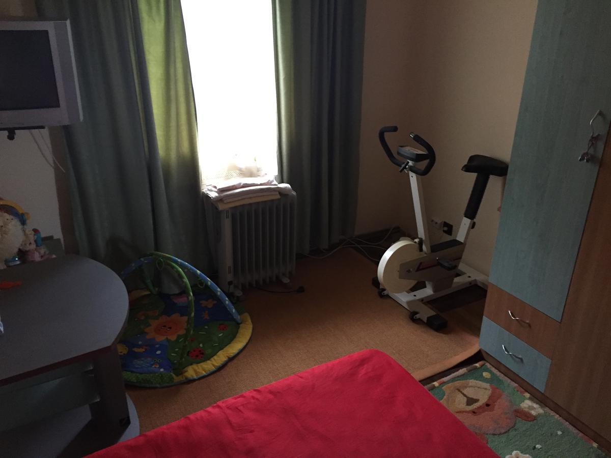 Guesthouse Vila Melisa Răsvadu de Sus Екстериор снимка