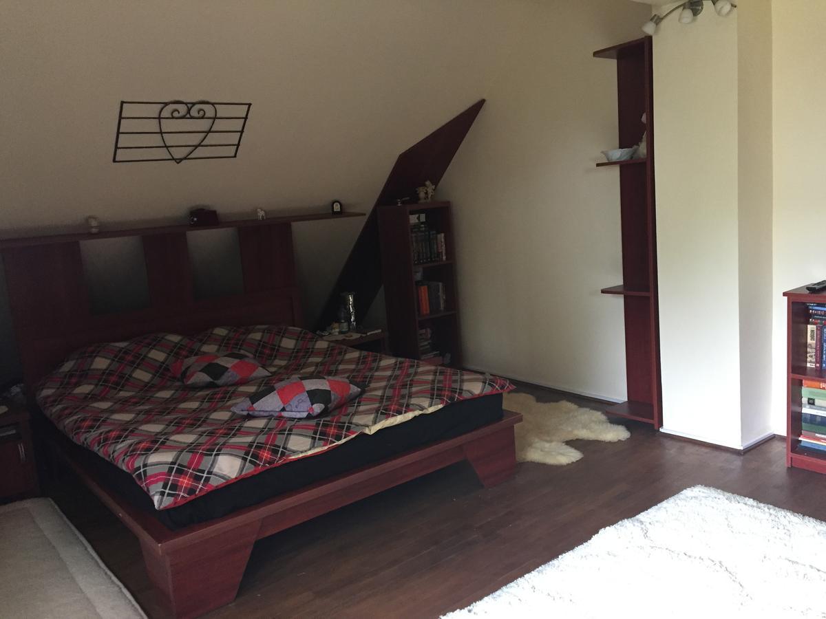 Guesthouse Vila Melisa Răsvadu de Sus Екстериор снимка