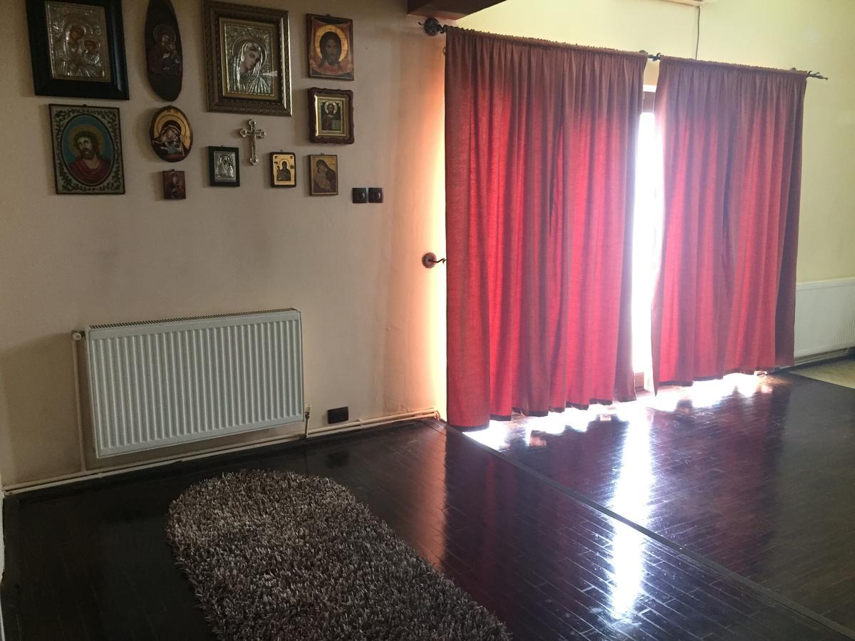Guesthouse Vila Melisa Răsvadu de Sus Екстериор снимка
