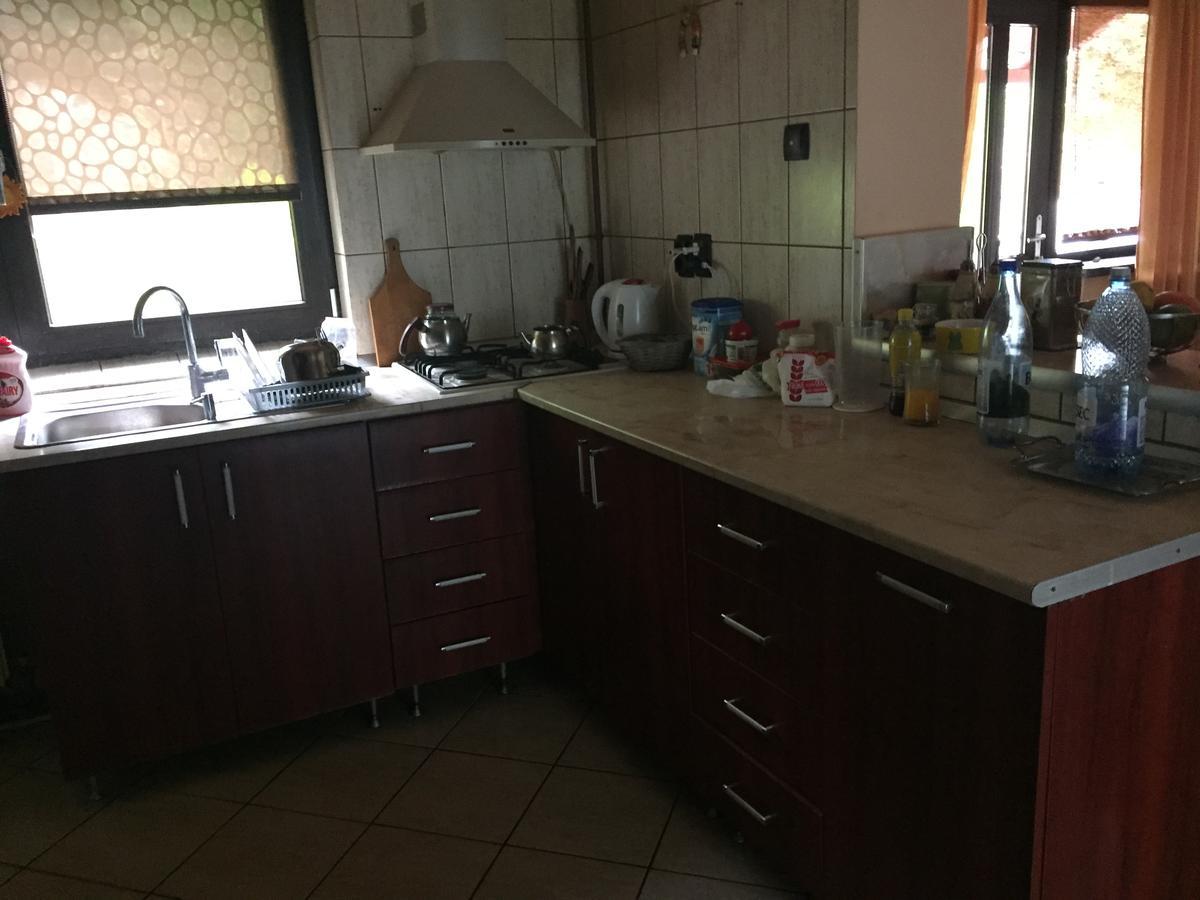 Guesthouse Vila Melisa Răsvadu de Sus Екстериор снимка