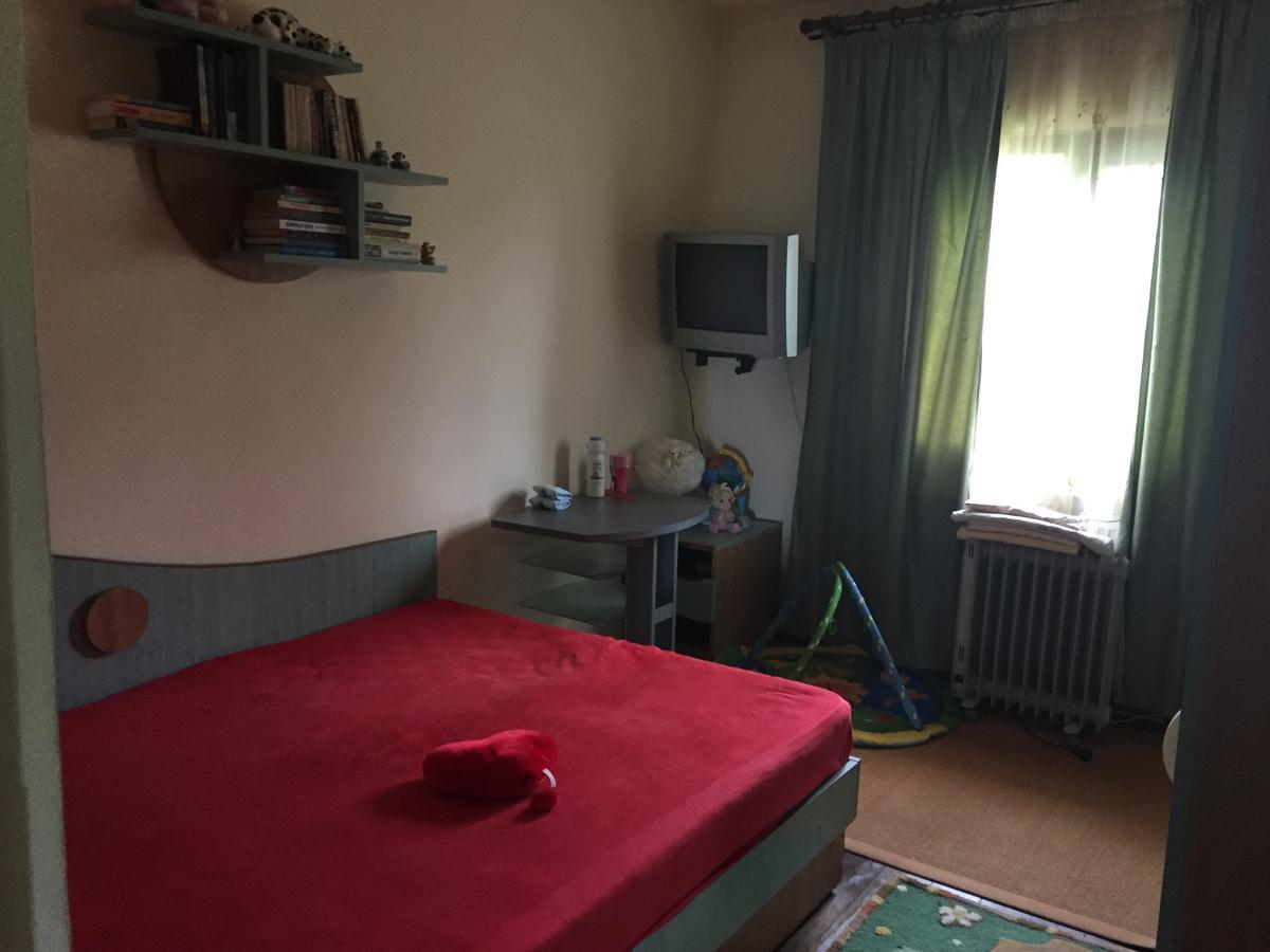 Guesthouse Vila Melisa Răsvadu de Sus Екстериор снимка