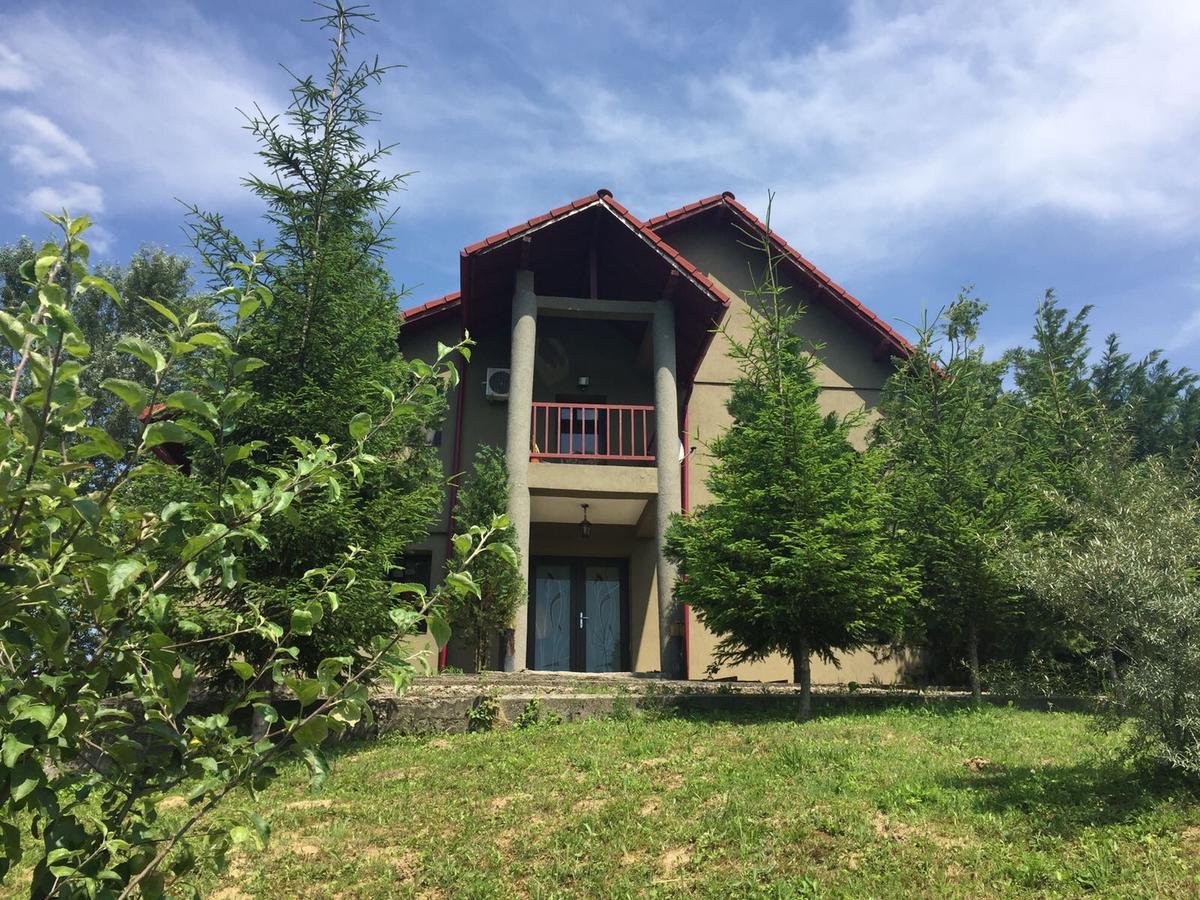 Guesthouse Vila Melisa Răsvadu de Sus Екстериор снимка