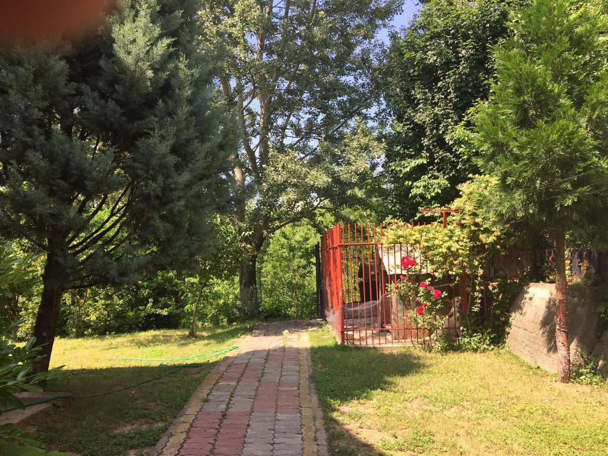 Guesthouse Vila Melisa Răsvadu de Sus Екстериор снимка