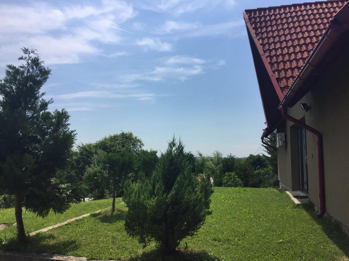 Guesthouse Vila Melisa Răsvadu de Sus Екстериор снимка