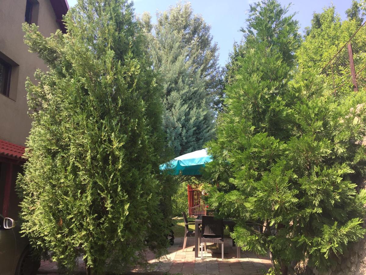 Guesthouse Vila Melisa Răsvadu de Sus Екстериор снимка