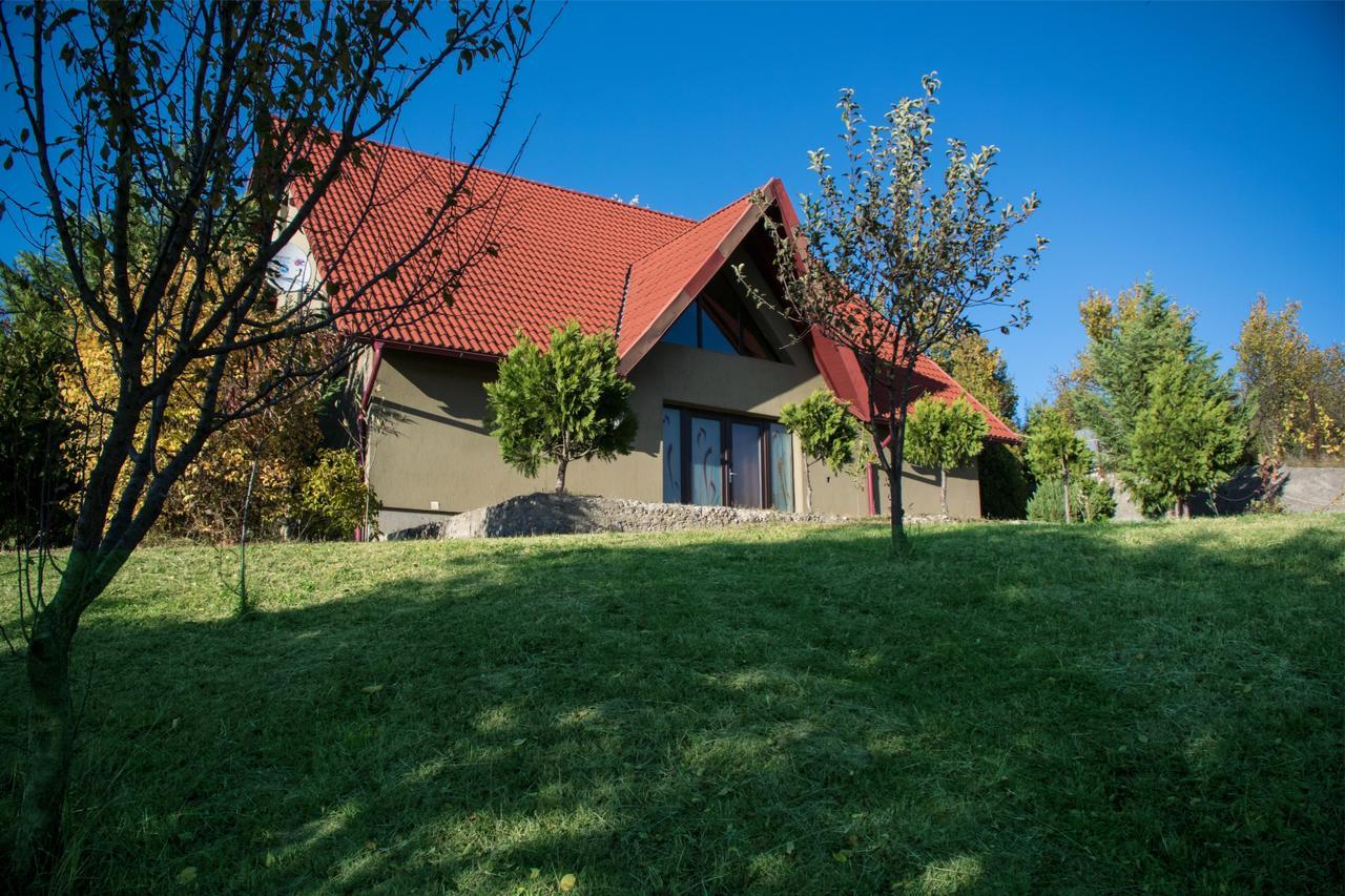 Guesthouse Vila Melisa Răsvadu de Sus Екстериор снимка