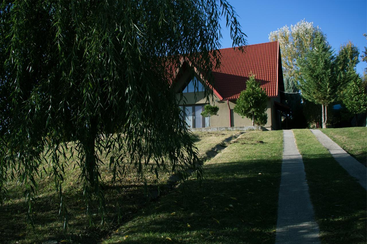 Guesthouse Vila Melisa Răsvadu de Sus Екстериор снимка