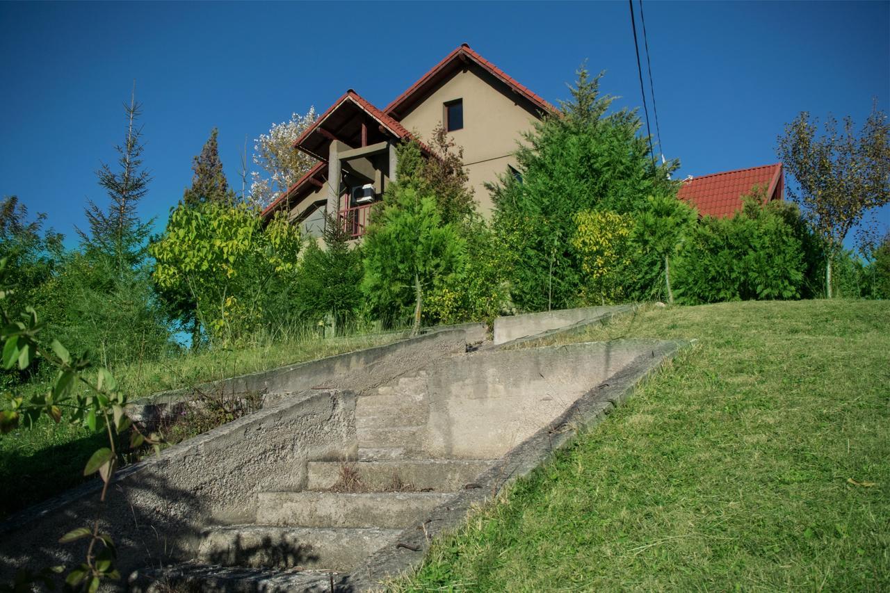 Guesthouse Vila Melisa Răsvadu de Sus Екстериор снимка