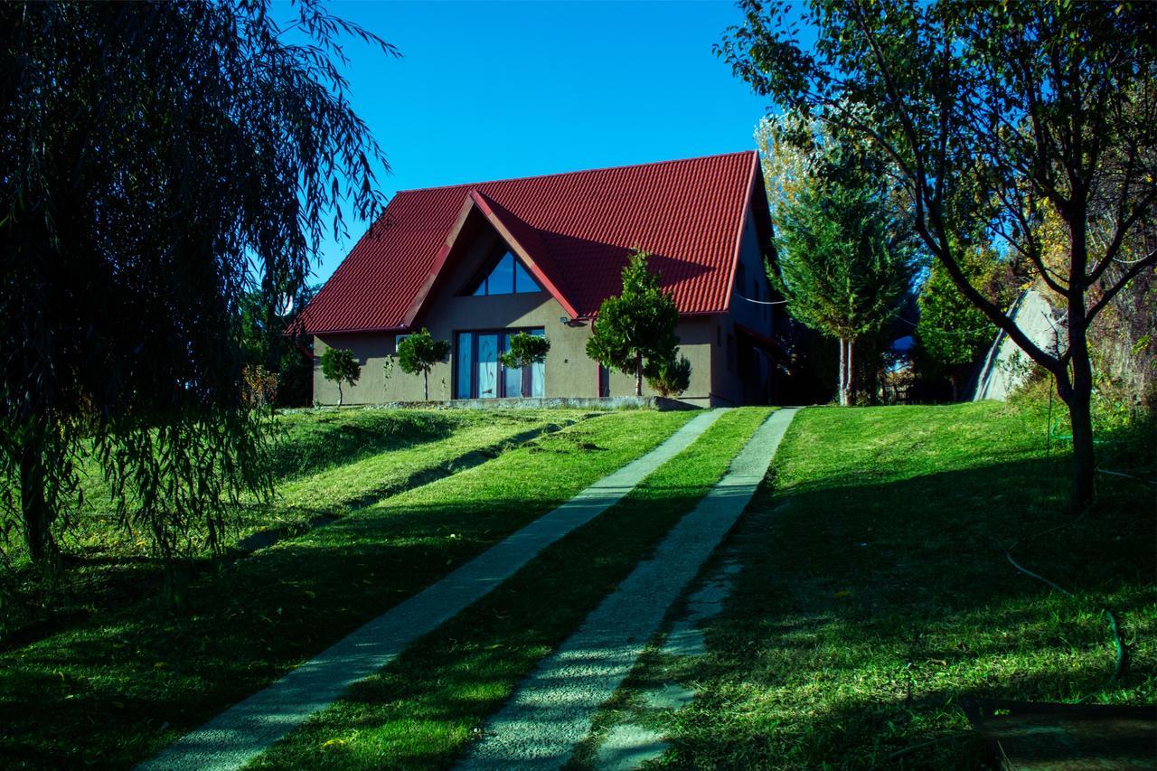 Guesthouse Vila Melisa Răsvadu de Sus Екстериор снимка