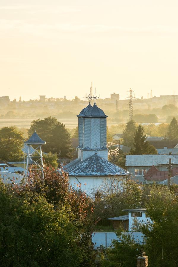 Guesthouse Vila Melisa Răsvadu de Sus Екстериор снимка